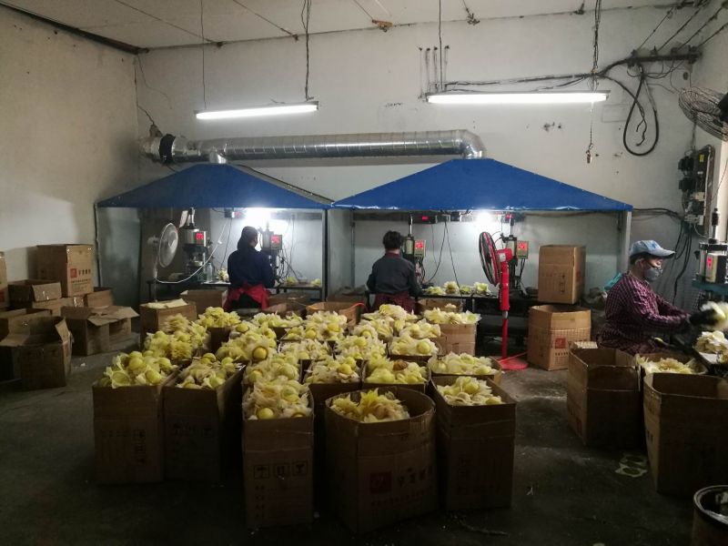 丝瓜成人网站 (1)